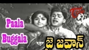 'Paala Buggala Song | Jai Jawan Movie Songs | ANR | Bharathi'