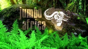 'Jumbo Africa - Intro Movie'