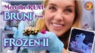 'Meet the REAL \'Bruni\' from Frozen 2! | Maddie Moate'