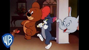 'Tom & Jerry | Jerry and Jumbo Team Up | Classic Cartoon | WB Kids'