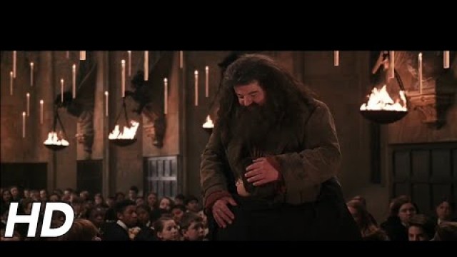 '\'There\'s no Hogwarts without you, Hagrid\' | Harry Potter and the Chamber of Secrets'
