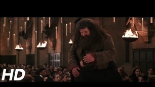 '\'There\'s no Hogwarts without you, Hagrid\' | Harry Potter and the Chamber of Secrets'