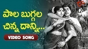 'పాలబుగ్గల చిన్నదాన్ని.. | Paala Buggala Song | Jai Jawan | ANR | Bharathi | Old Telugu Songs'