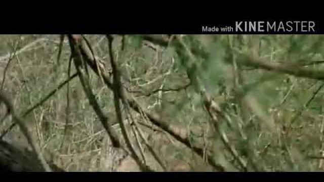 'lagaan movie scene part 3#A hunting firangi #lagaan movie#hunting scene#movie maza# moviemaza'