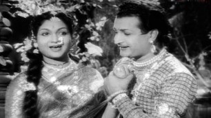 'Bala Nagamma Movie Songs - Virisindi vintha haayi - Taraka Rama Rao, Anjali Devi, S. V. Ranga Rao,'