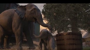 'Baby Dumbo of Jumbo in Zoo, Elephant can fly clip2, Movie scene, Movie clip, video clip.'