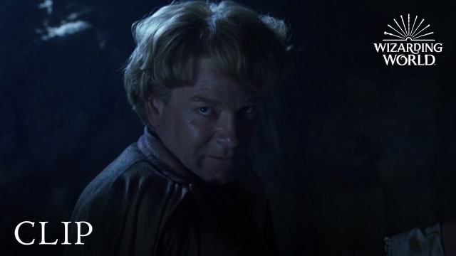 'Gilderoy Lockhart Loses His Memory | Harry Potter and the Chamber of Secrets'