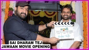 'Sai Dharam Tej New Movie Opening | Jr NTR | Jawan Movie | Mehreen Pirzada | BVS Ravi | Dil Raju'