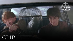'The Flying Ford | Harry Potter and the Chamber of Secrets'
