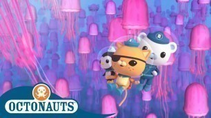 'Octonauts - The Pink Jungle | Cartoons for Kids'