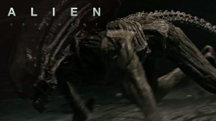 'Alien: Covenant | The Secrets of David’s Lab: The Xenomorph | 20th Century FOX'