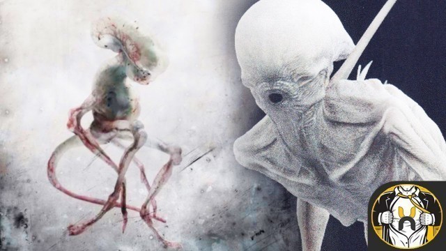 'Alien Covenant: The Neomorph - Explained'