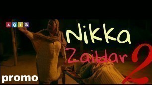 'NIKKA ZAILDAR 2 | AMMY VIRK | sonam bajwa | Latest Punjabi Movie 2017'
