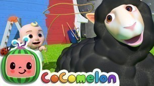 'Baa Baa Black Sheep | CoComelon Nursery Rhymes & Kids Songs'