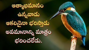 'Famous Telugu Quotes in Jeevitha Satyalu | The Best Way to Motivate Yourself | Find Your Inspiration'