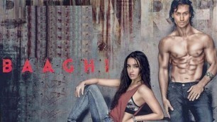 'Baaghi Full Movie Review | Tiger Shroff | Action & Romance | Bollywood Movie Review |Thunder Reviews'