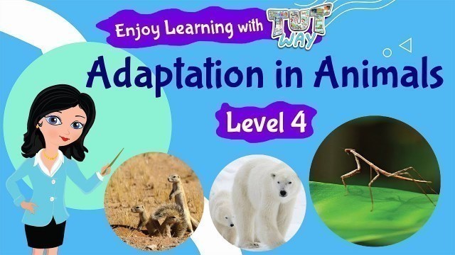 'Animal Adaptations For Kids | Science | Grade 3 & 4 | TutWay'