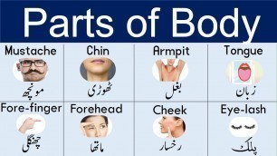 'Body Parts in Urdu for kids | Parts of Body in Urdu and English | Jism ky Hissy'