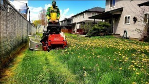 'OVERGROWN Lawn INFESTED With Dandelions Gets A Satisfying TRANSFORMATION'
