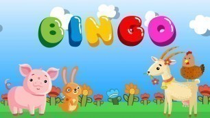 'bingo เพลง บิงโก | เพลงเด็กภาษาอังกฤษ | nursury rhymes | kids song | เพลงเด็ก น้องนะโม'