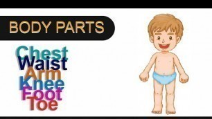 'Kids vocabulary - Body - parts of the body #shorts #kids #body #parts #education #letter #learning'