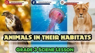 'Habitats | Adaptations | Camouflage |grade 3 Science |Different kinds of Adaptations'