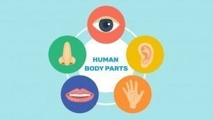 'Let\'s learn human body parts | Our body parts kids education video | Part of the body- I Am A Kid'