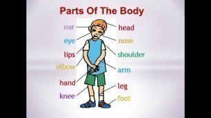 'Lean Parts of the Body for Kids in English  تعلم أجزاء الجسم باللغة الإنجليزية  Poem Body Parts Song'