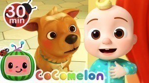 'My Dog Song - Bingo | CoComelon Furry Friends | Animals for Kids'