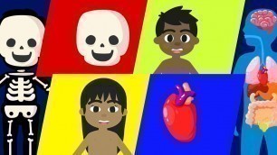 'Body Parts for Kids (Android/iOS)'