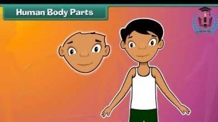 'Human Body Parts Animated video | Kids learning video | general knowledge video | vidyapaatr'