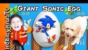 'We Open a Giant SONIC Surprise Egg while HobbyDog Races Toys with HobbyKids'