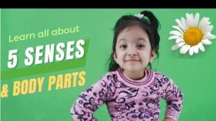 'sense organs for kids | body parts for kids learning | learning videos for kids |  learning videos'