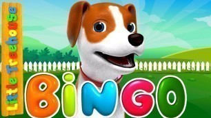 'Bingo Was His Name O | Kindergarten Songs and Videos for Children'