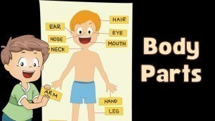 'Human body parts for kids - Educational video for kids'