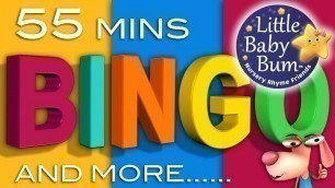 'BINGO Song | Plus Lots More Classic Rhymes! | 55 Minutes Compilation from LittleBabyBum!'