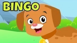'Bingo Song | Bingo Dog Song for Kids'