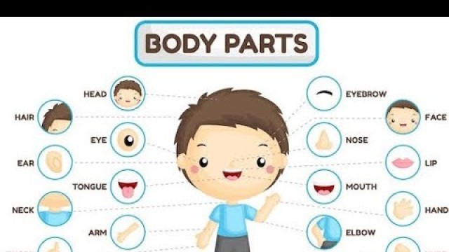 'Learn All Body Parts with images and Spellings | kids learning | Body parts learning for toddlers'