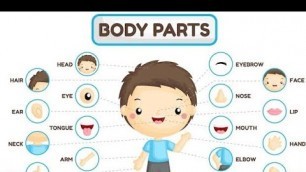 'Learn All Body Parts with images and Spellings | kids learning | Body parts learning for toddlers'