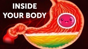 'A Journey Inside Your Body'