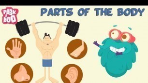 'Parts Of The Body | The Dr. Binocs Show | Learn Videos For Kids'