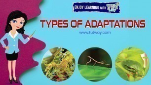 'ANIMALS ADAPTATION | How Adaptation In Animals Work? | Animal Adaptations for Kids | Science #shorts'