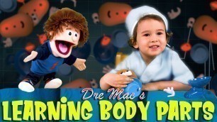 'Learn body parts for kids with Silly Puppets.'