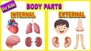 'Internal and External Body Parts for Kids ।। Internal and External Body Parts ।। @Swapnochhutki'