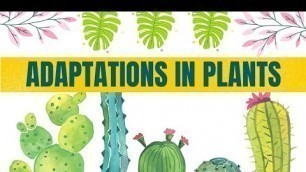 'Adaptations in plants | Plants habitat and adaptations | Science video lesson for kids'