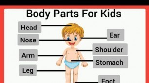 'Body parts for kids/Parts of the body/Body parts for kindergarten/ preschool/lkg/ukg'