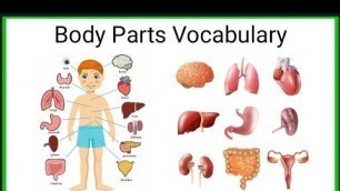 'Learn Body Parts Vocabulary in English for kids | parts of the body | Body parts| body parts name'