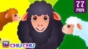 'Baa Baa Black Sheep and Many More Kids Songs | Popular Nursery Rhymes Collection by ChuChu TV'