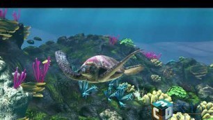'The Adaptations of Sea Turtles | Elementary content | Physical Science | HD | Distance Learning'