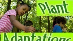 'Adaptations in Plants -Video lesson for Kids'